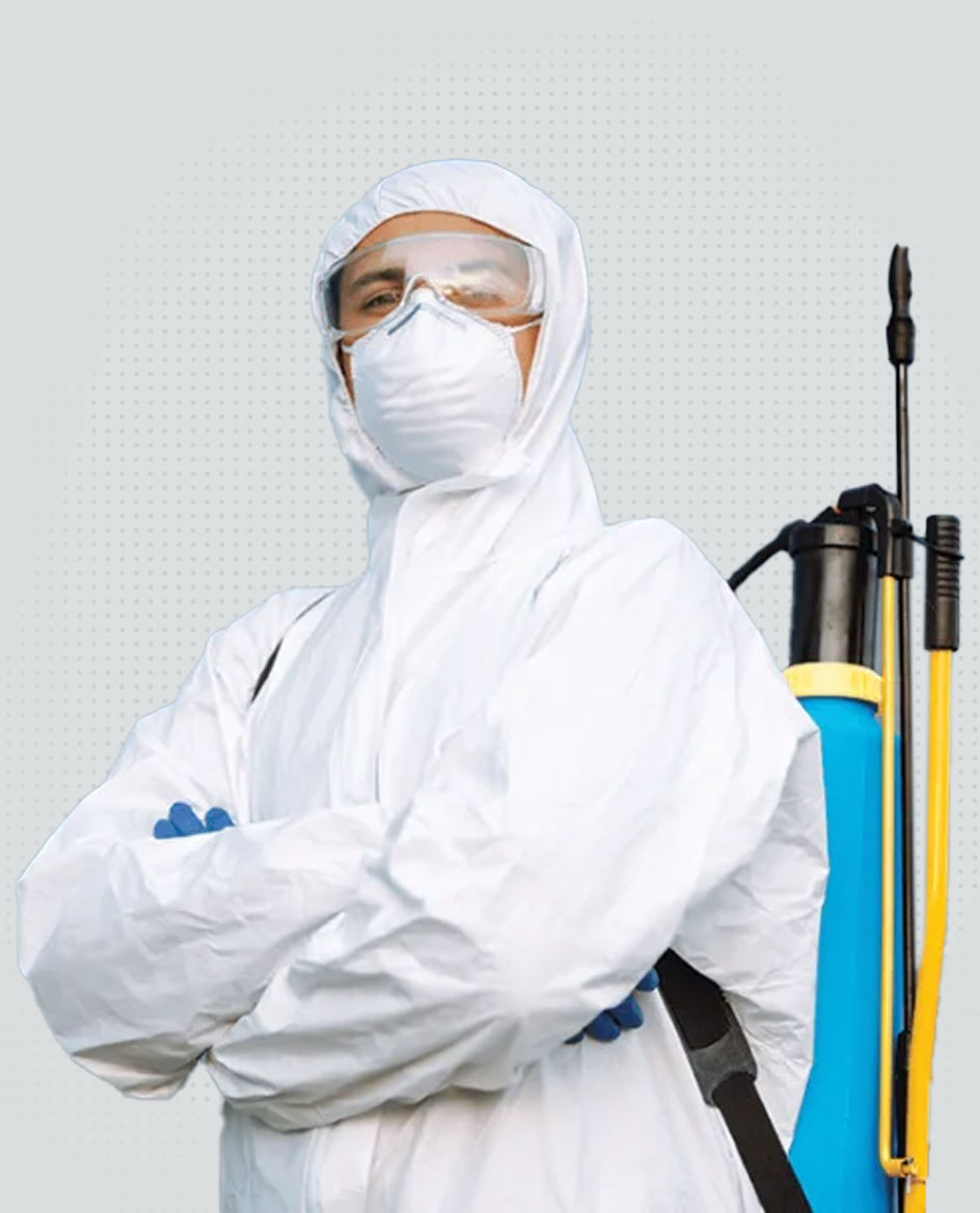 Pest Control Service