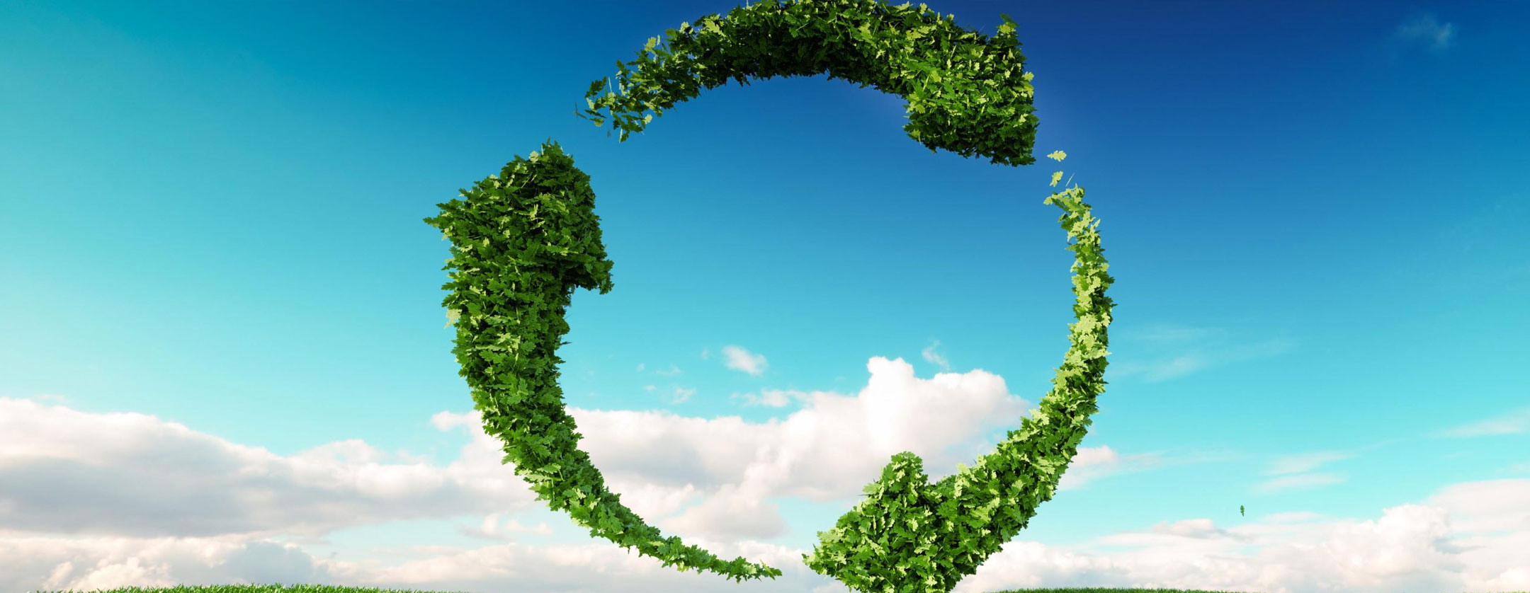 Gong Global | Katı Atık Yönetimi